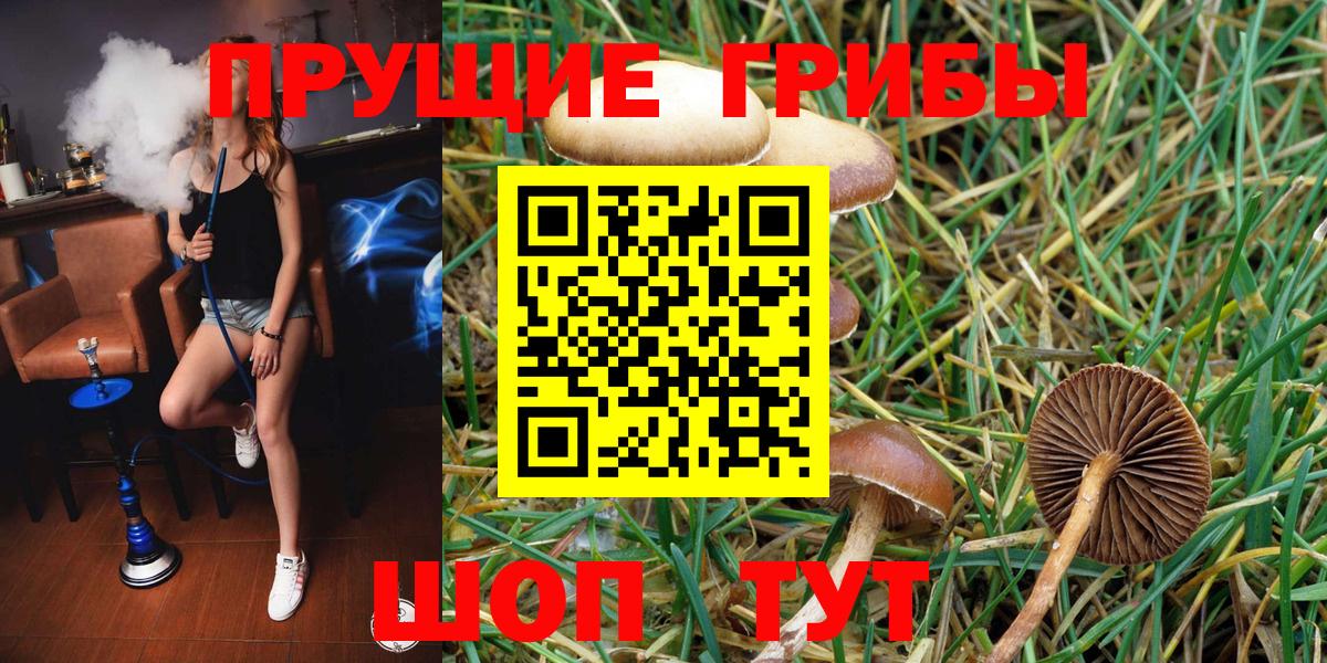 Нягань  где найти   Вход с VPN  Псилоцибиновые грибы Psilocybine cubensis  Галлюциногенные грибы Cubensis 