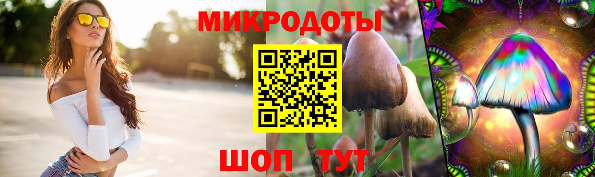Галлюциногенные грибы Psilocybe Нягань